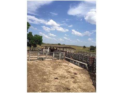 Finca De Hectareas Sector El Toro En Puerto Lopez Meta Venta