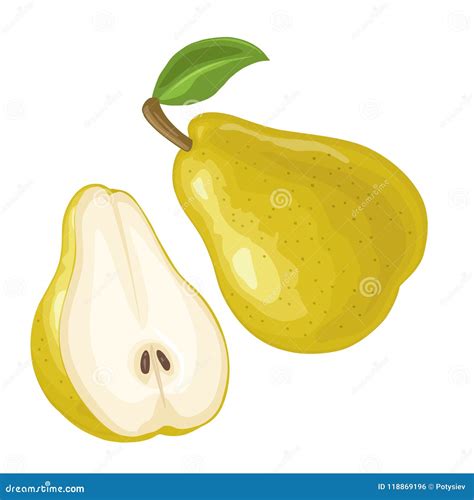 Pear Set Pear Whole Chopped Half Quarter Cut Slices Pear Leaves And