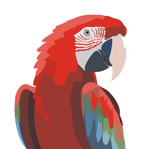 Premium Vector Vector Parrot