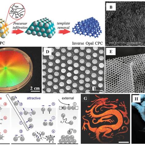 A Schematic Diagram Of The Fabrication Of Inverse Opals B Sem Of