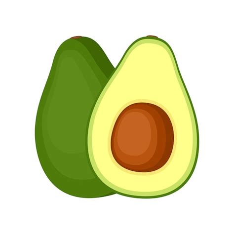 Avocado Vector