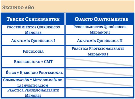 Tecnicatura Superior En Instrumentaci N Quir Rgica Instituto Tezza