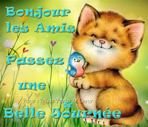 Bonjour Les Amis Passez Une Belle Journ E Bonjour Chat Chaton Oiseau