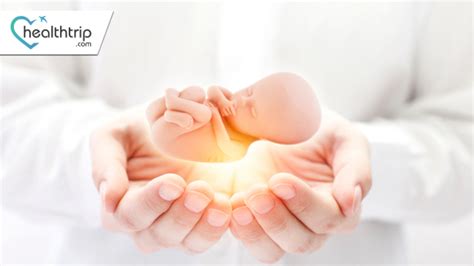 Embryo Transfer In IVF The Key To Fertility Success HealthTrip