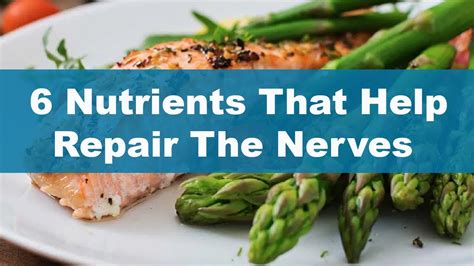 6 Nutrients That Help Repair The Myelin Sheath- Multiple Sclerosis ...