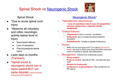 Neurogenic Shock Spinal Shock Vs Neurogenic Shock Critical Care