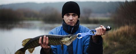 Quest ce que la pêche au carnassier Planète Carnassier