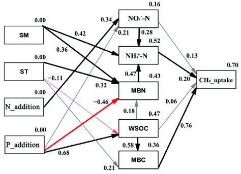 The Structural Equation Model Explaining The Direct And Indirect Download Scientific Diagram