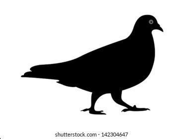 Pigeon Vector Silhouette Vector De Stock Libre De Regal As