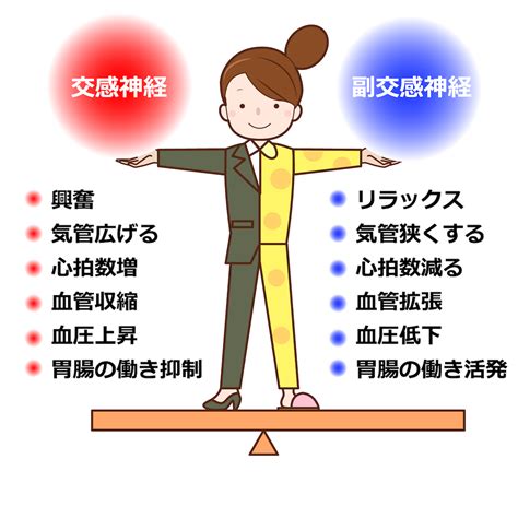 自律神経失調症を改善するためのとっておきの方法 けんこうカイロプラクティックセンター