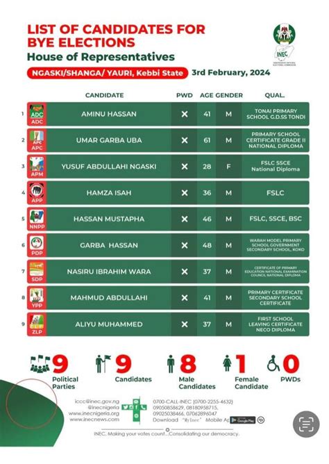 INEC Conducts Legislative Rerun Bye Elections To Replace Gbajabiamila