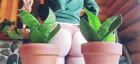 My Two Favorite Things Booty Plants Nudes Drawmensfw Nude Pics Org