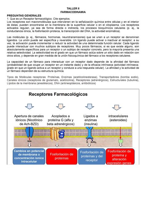 Taller DE Farmacologia Respiratoria TALLER II FARMACODINAMIA