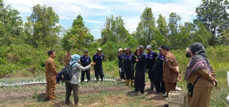 Berita Brmp Kalimantan Selatan Bsip Kalsel Dalam Sekolah Lapang