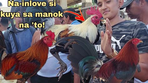 Episode 17 Bentahan Ng Manok Sa Padre Garcia Batangas YouTube