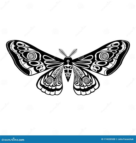 Night Moth Butterfly Vector Illustration Half Open Wings Design