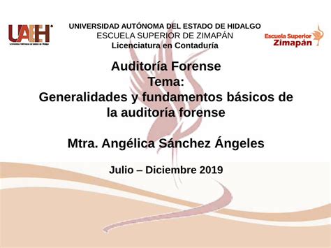 Pdf Generalidades Y Fundamentos B Sicos De La Auditoria Forense