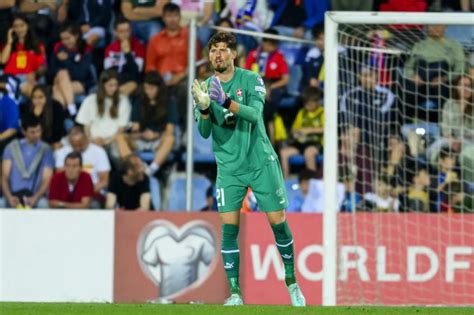 Bvb Chef Gregor Kobel Ist Der Beste Goalie In Deutschland Nau Ch