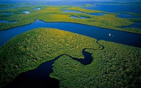 Maior Aquífero Do Mundo Fica No Brasil E é Capaz De Fornecer água Para