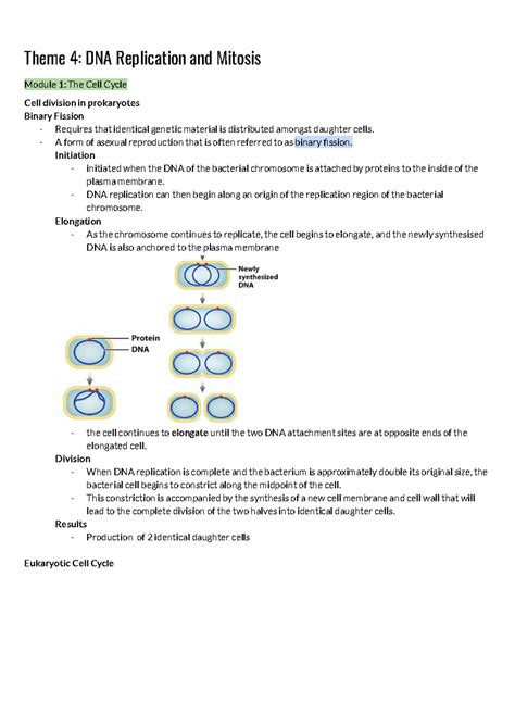 Biology A Test Theme Dna Replication And Mitosis Module