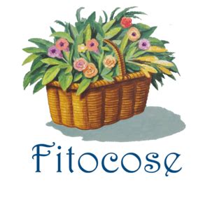 Corpo Detergenza Igiene Archivio Pagina Di Fitocose It