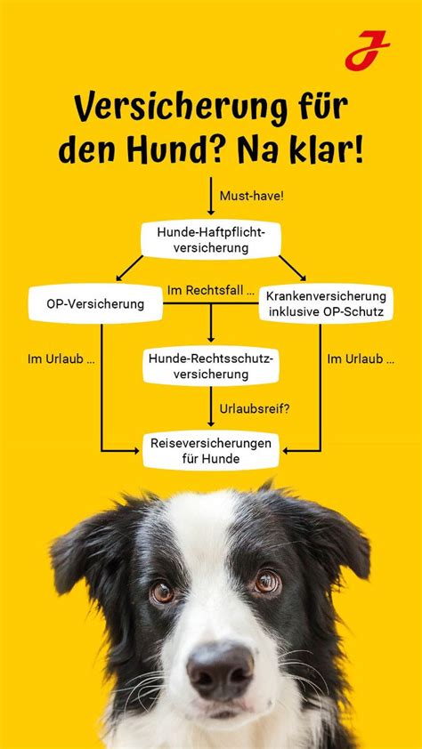 Hunde Kranken Und Op Versicherung Vergleich