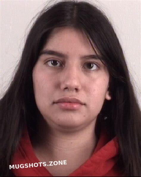 Reyes Leticia Nicole Tarrant County Mugshots Zone