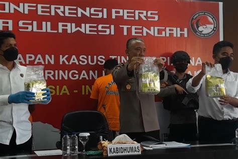 Polda Sulteng Gagalkan Penyelundupan 15 Kg Sabu Sindikat Internasional