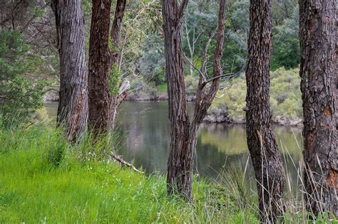 Blackwood River Walk Bridgetown