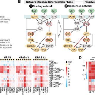 Ras Effector Activation Does Not Correlate With KRAS Mutation Status In