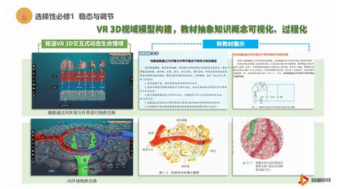 虚拟仿真视域下的高中生物隐性知识学习 矩道科技