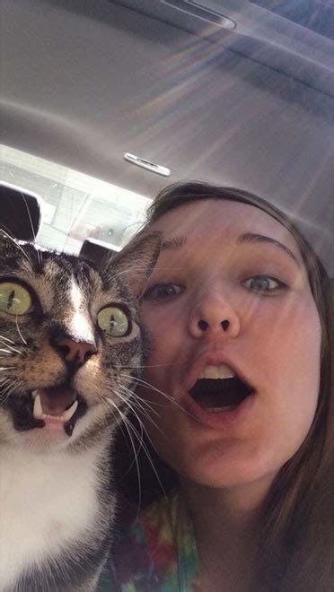 20 Funny Felines Taking Cat Selfies