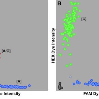 SNP genotyping results using the high-throughput DNA extraction method ...