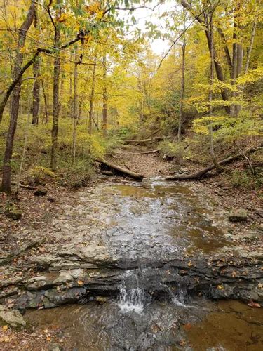 10 Best Trails And Hikes In Madison Alltrails