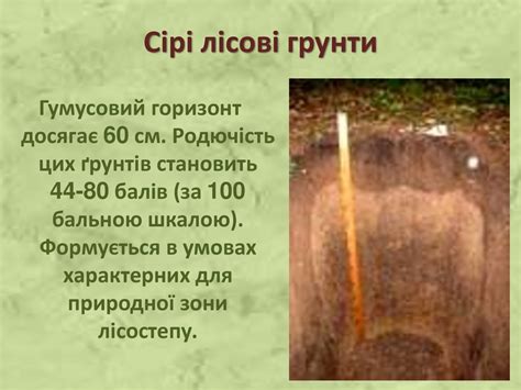 Грунти України - презентация онлайн