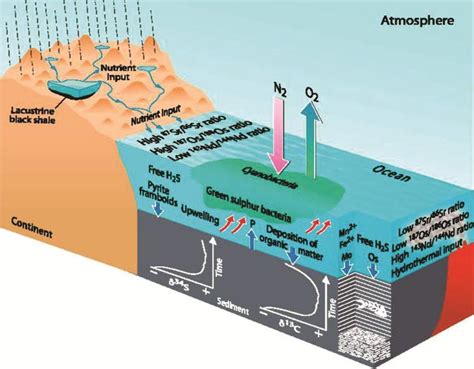 2 A Model Showing Various Geochemical Processes Associated With Oaes