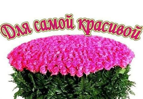 Пин от пользователя Nagoga Nastya на доске аленушка | Смешные ...