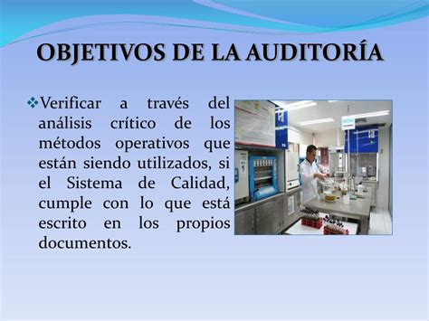 Mapa Mental De Los Objetivos De La Auditoria Porn Sex Picture My Xxx