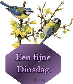Dinsdag, fijne en prettige dinsdag plaatjes, kaartjes en animaties van ...