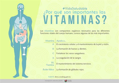 ¿por Qué Son Importantes Las Vitaminas Ntemx Recursos Educativos En Línea