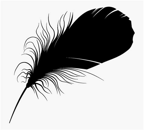 Feather Vector Png