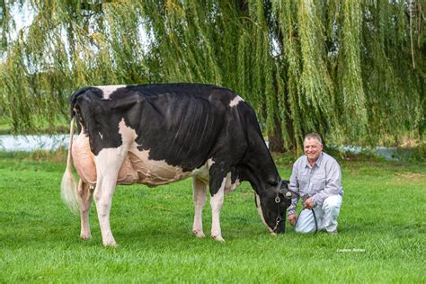 Beautiful Photos Of June Ex 97 Embryosale Embryos