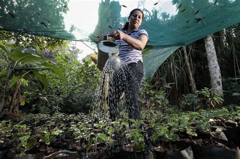 Industries Endanger Water Quality in El Salvador: Ongoing Issue