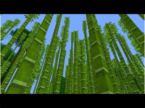 BAMBOO FARM TUTORIAL MINECRAFT JAVA YouTube