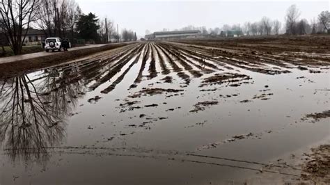 Agricoltura E Inquinamento La Tesi Di Report Su Liquami E Coronavirus