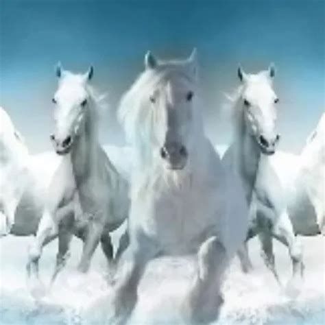 Alluring Mia Khalifa Fingered Before Office Banging Big Cock Porn