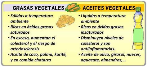 Diferencias Entre Aceites Y Grasas Vegetales Botanical Online