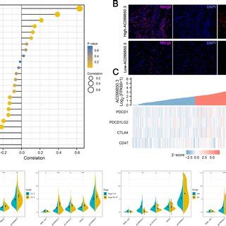 Clinical Value Of AC099850 3 And Its Association With Immune Features