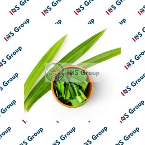 Jual Daun Pandan Per Ikat Shopee Indonesia