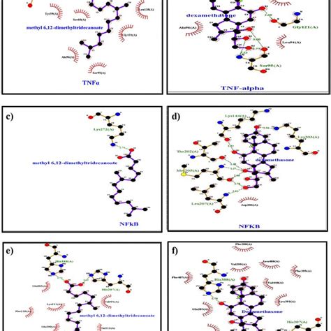 In Silico Docking Analysis Of ET With Inflammatory Markers In Silico